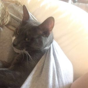 Meet your Posher, Cody